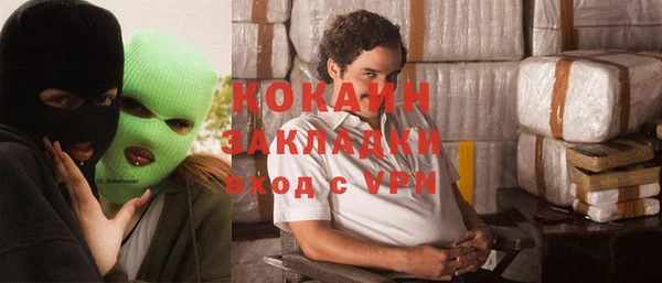 кокс Елизово