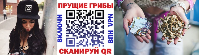 Галлюциногенные грибы GOLDEN TEACHER  Купить  Новоаннинский 