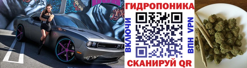 Конопля MAZAR Новоаннинский